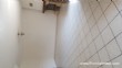 A Louer, Maison, 8 Pièces, 150 m2, Saint-Genis-Pouilly (01630), Ain A Louer, Maison, 8 Pièces, 150 m2, Saint-Genis-Pouilly (01630), Ain