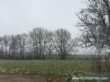 A Vendre, Maison, 0 Pièces, 700 m2, Feldbach (68640), Haut-Rhin A Vendre, Maison, 0 Pièces, 700 m2, Feldbach (68640), Haut-Rhin