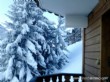 A Vendre, Appartement, 1 Pièces, 21 m2, Le Biot (74430), Haute-Savoie A Vendre, Appartement, 1 Pièces, 21 m2, Le Biot (74430), Haute-Savoie